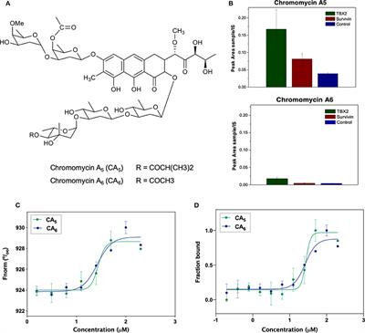 Targeting the Oncogenic TBX2 Transcription Factor With Chromomycins